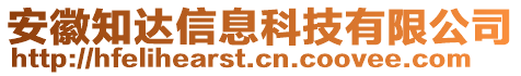 安徽知達(dá)信息科技有限公司