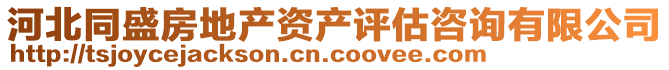 河北同盛房地產(chǎn)資產(chǎn)評估咨詢有限公司