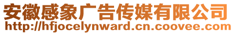 安徽感象廣告?zhèn)髅接邢薰? style=