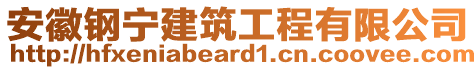 安徽钢宁建筑工程有限公司