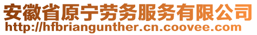 安徽省原寧勞務服務有限公司