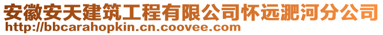 安徽安天建筑工程有限公司懷遠淝河分公司