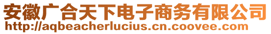 安徽廣合天下電子商務(wù)有限公司