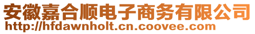 安徽嘉合順電子商務(wù)有限公司