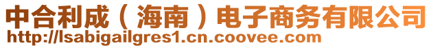 中合利成（海南）電子商務(wù)有限公司