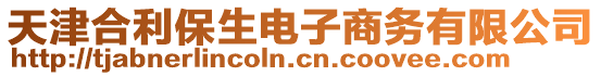 天津合利保生電子商務(wù)有限公司