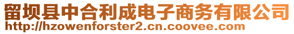 留壩縣中合利成電子商務(wù)有限公司