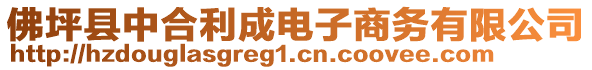 佛坪縣中合利成電子商務(wù)有限公司