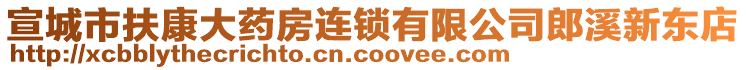 宣城市扶康大藥房連鎖有限公司郎溪新東店