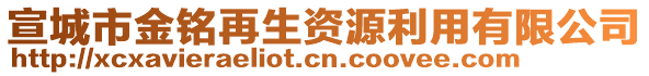 宣城市金銘再生資源利用有限公司