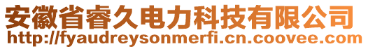 安徽省睿久電力科技有限公司