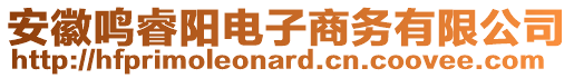 安徽鳴睿陽(yáng)電子商務(wù)有限公司