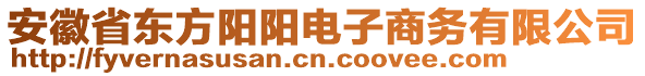 安徽省東方陽陽電子商務(wù)有限公司