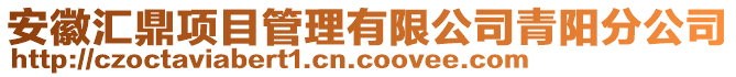 安徽匯鼎項目管理有限公司青陽分公司