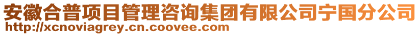 安徽合普項(xiàng)目管理咨詢集團(tuán)有限公司寧國(guó)分公司