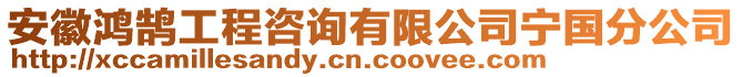 安徽鴻鵠工程咨詢有限公司寧國(guó)分公司