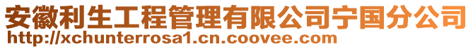 安徽利生工程管理有限公司寧國分公司