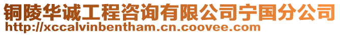 銅陵華誠工程咨詢有限公司寧國分公司