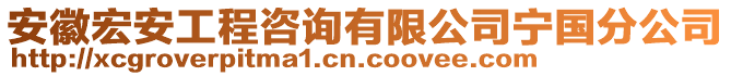 安徽宏安工程咨询有限公司宁国分公司