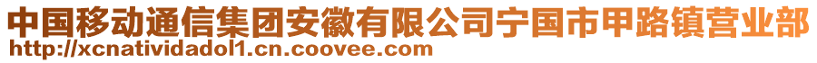 中國移動通信集團(tuán)安徽有限公司寧國市甲路鎮(zhèn)營業(yè)部