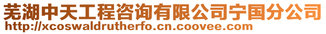 蕪湖中天工程咨詢有限公司寧國分公司