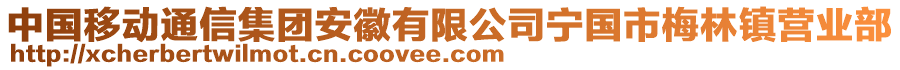 中國移動通信集團安徽有限公司寧國市梅林鎮(zhèn)營業(yè)部