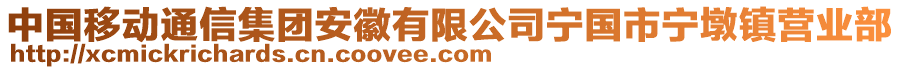 中國移動(dòng)通信集團(tuán)安徽有限公司寧國市寧墩鎮(zhèn)營業(yè)部