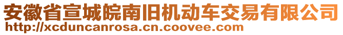 安徽省宣城皖南舊機動車交易有限公司