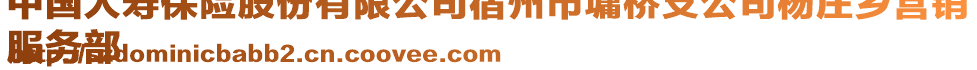 中国人寿保险股份有限公司宿州市墉桥支公司杨庄乡营销
服务部