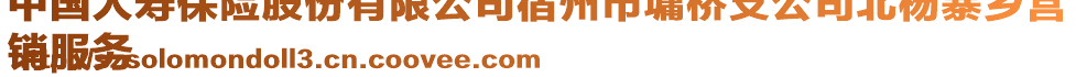 中国人寿保险股份有限公司宿州市墉桥支公司北杨寨乡营
销服务