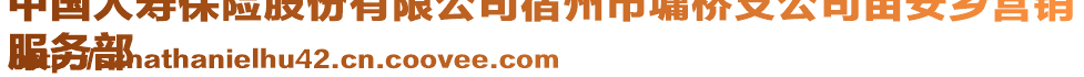 中国人寿保险股份有限公司宿州市墉桥支公司苗安乡营销
服务部