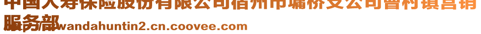 中国人寿保险股份有限公司宿州市墉桥支公司曹村镇营销
服务部