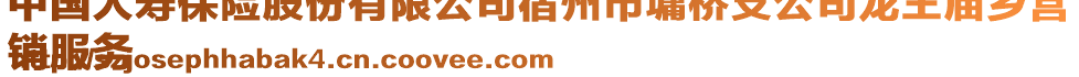 中國人壽保險股份有限公司宿州市墉橋支公司龍王廟鄉(xiāng)營
銷服務(wù)