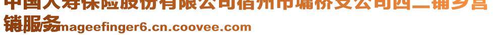 中国人寿保险股份有限公司宿州市墉桥支公司西二铺乡营
销服务