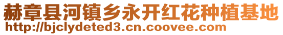 赫章县河镇乡永开红花种植基地