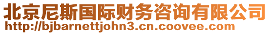 北京尼斯國際財務咨詢有限公司