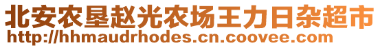 北安農(nóng)墾趙光農(nóng)場王力日雜超市