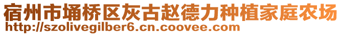 宿州市埇橋區(qū)灰古趙德力種植家庭農場