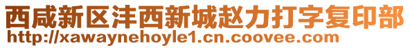 西咸新區(qū)灃西新城趙力打字復(fù)印部