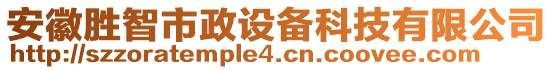 安徽勝智市政設備科技有限公司