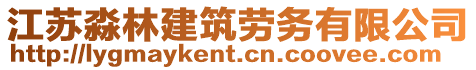 江蘇淼林建筑勞務有限公司