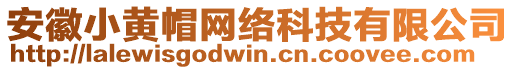 安徽小黃帽網(wǎng)絡(luò)科技有限公司