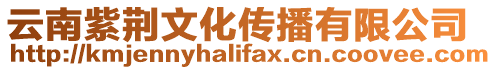 云南紫荊文化傳播有限公司