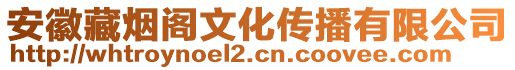 安徽藏?zé)熼w文化傳播有限公司