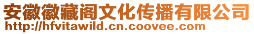 安徽徽藏閣文化傳播有限公司