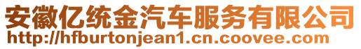 安徽億統(tǒng)金汽車服務(wù)有限公司