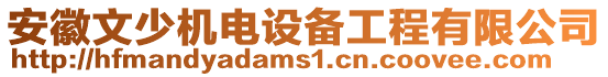 安徽文少機(jī)電設(shè)備工程有限公司