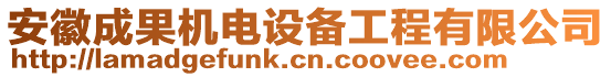 安徽成果機(jī)電設(shè)備工程有限公司