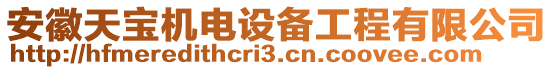 安徽天寶機電設(shè)備工程有限公司