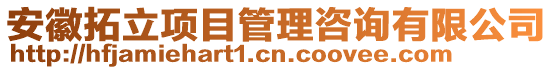 安徽拓立項目管理咨詢有限公司